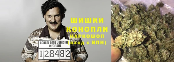 герыч Арсеньев