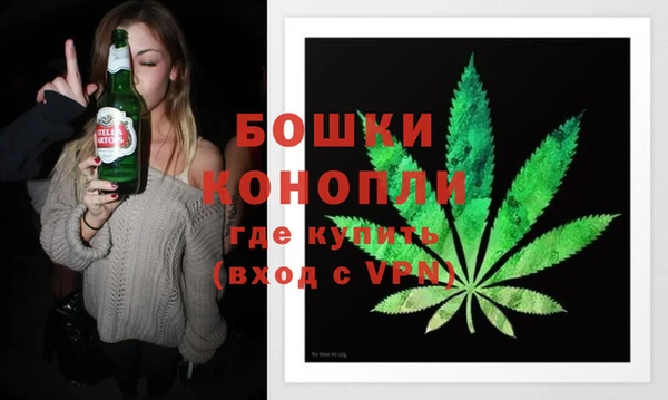 сатива Аркадак