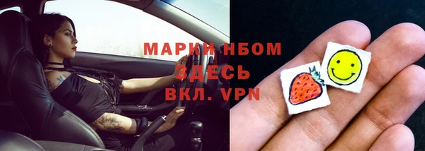 сатива Аркадак