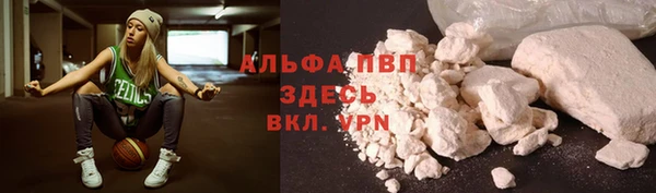 сатива Аркадак