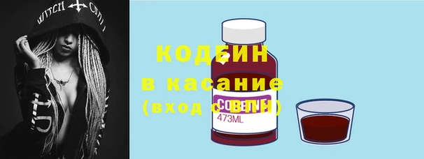 сатива Аркадак
