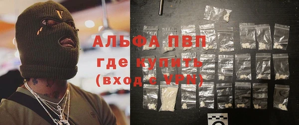 сатива Аркадак