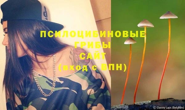 сатива Аркадак