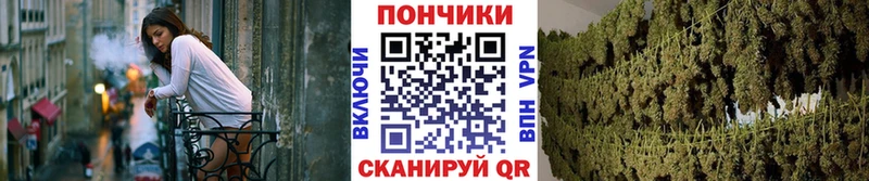 как найти   Печоры  Бошки марихуана сатива 